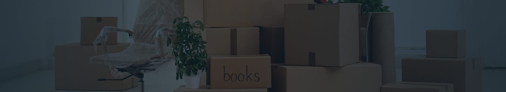 Τσαπράζης Ανέστης Μεταφορές & Μετακομίσεις